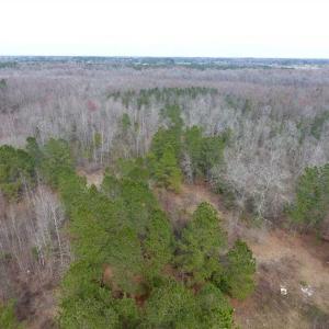 Photo of SOLD!! 12.4 Acres of Hunting and Timber Land For Sale in Robeson County NC!