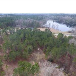 Photo of SOLD!! 12.4 Acres of Hunting and Timber Land For Sale in Robeson County NC!