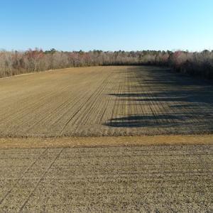 Photo of SOLD!!  47 Acres of Farm and Timber Land For Sale in Columbus County NC!