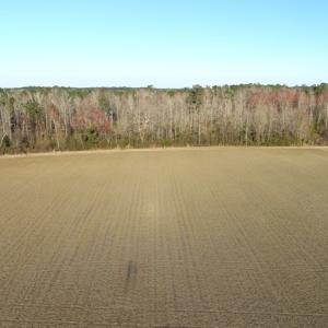 Photo of SOLD!!  47 Acres of Farm and Timber Land For Sale in Columbus County NC!