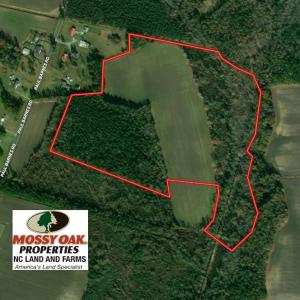 Photo of SOLD!!  47 Acres of Farm and Timber Land For Sale in Columbus County NC!
