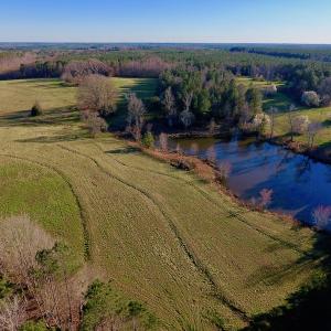 Photo of UNDER CONTRACT!  270.86 Acres of Pasture and Timber Land with Pond For Sale in Halifax County NC!
