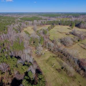 Photo of UNDER CONTRACT!  270.86 Acres of Pasture and Timber Land with Pond For Sale in Halifax County NC!