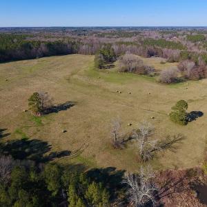 Photo of UNDER CONTRACT!  270.86 Acres of Pasture and Timber Land with Pond For Sale in Halifax County NC!