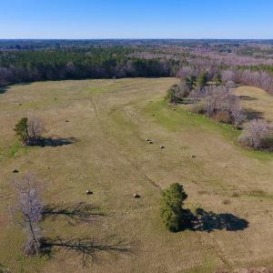 Photo of UNDER CONTRACT!  270.86 Acres of Pasture and Timber Land with Pond For Sale in Halifax County NC!