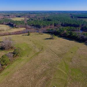 Photo of UNDER CONTRACT!  270.86 Acres of Pasture and Timber Land with Pond For Sale in Halifax County NC!