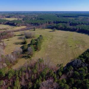 Photo of UNDER CONTRACT!  270.86 Acres of Pasture and Timber Land with Pond For Sale in Halifax County NC!