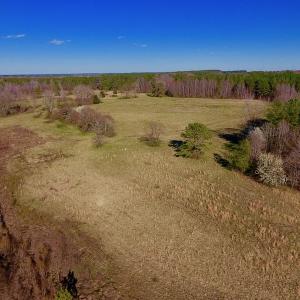 Photo of UNDER CONTRACT!  270.86 Acres of Pasture and Timber Land with Pond For Sale in Halifax County NC!