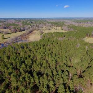 Photo of UNDER CONTRACT!  270.86 Acres of Pasture and Timber Land with Pond For Sale in Halifax County NC!