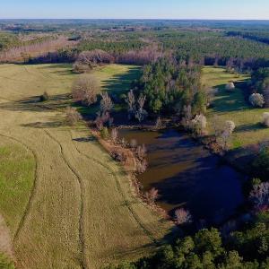 Photo of UNDER CONTRACT!  270.86 Acres of Pasture and Timber Land with Pond For Sale in Halifax County NC!