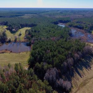 Photo of UNDER CONTRACT!  270.86 Acres of Pasture and Timber Land with Pond For Sale in Halifax County NC!