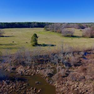 Photo of UNDER CONTRACT!  270.86 Acres of Pasture and Timber Land with Pond For Sale in Halifax County NC!