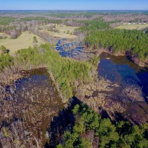 Photo of UNDER CONTRACT!  270.86 Acres of Pasture and Timber Land with Pond For Sale in Halifax County NC!