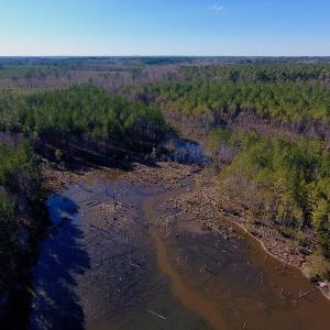 Photo of UNDER CONTRACT!  270.86 Acres of Pasture and Timber Land with Pond For Sale in Halifax County NC!