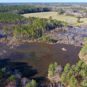 Photo of UNDER CONTRACT!  270.86 Acres of Pasture and Timber Land with Pond For Sale in Halifax County NC!