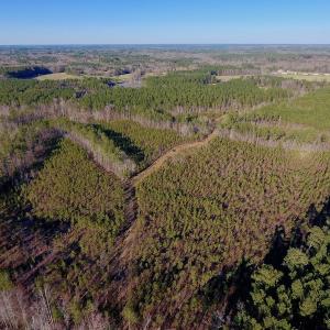 Photo of UNDER CONTRACT!  270.86 Acres of Pasture and Timber Land with Pond For Sale in Halifax County NC!
