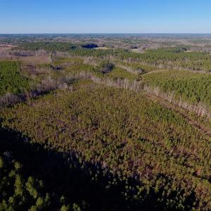 Photo of UNDER CONTRACT!  270.86 Acres of Pasture and Timber Land with Pond For Sale in Halifax County NC!