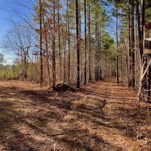 Photo of UNDER CONTRACT!  270.86 Acres of Pasture and Timber Land with Pond For Sale in Halifax County NC!