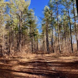 Photo of UNDER CONTRACT!  270.86 Acres of Pasture and Timber Land with Pond For Sale in Halifax County NC!