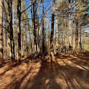 Photo of UNDER CONTRACT!  270.86 Acres of Pasture and Timber Land with Pond For Sale in Halifax County NC!