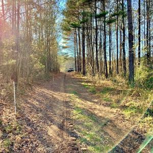 Photo of UNDER CONTRACT!  270.86 Acres of Pasture and Timber Land with Pond For Sale in Halifax County NC!