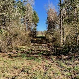 Photo of UNDER CONTRACT!  270.86 Acres of Pasture and Timber Land with Pond For Sale in Halifax County NC!