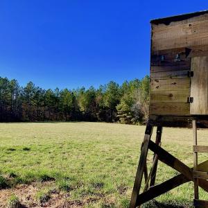 Photo of UNDER CONTRACT!  270.86 Acres of Pasture and Timber Land with Pond For Sale in Halifax County NC!