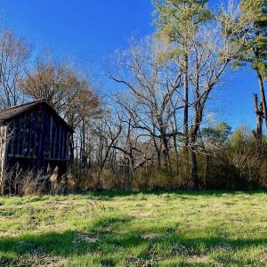 Photo of UNDER CONTRACT!  270.86 Acres of Pasture and Timber Land with Pond For Sale in Halifax County NC!