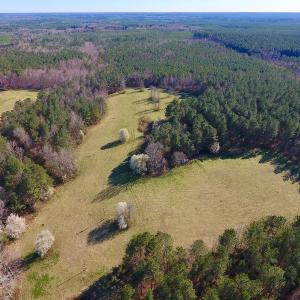 Photo of UNDER CONTRACT!  270.86 Acres of Pasture and Timber Land with Pond For Sale in Halifax County NC!