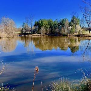 Photo of UNDER CONTRACT!  270.86 Acres of Pasture and Timber Land with Pond For Sale in Halifax County NC!