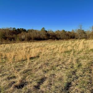 Photo of UNDER CONTRACT!  270.86 Acres of Pasture and Timber Land with Pond For Sale in Halifax County NC!