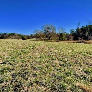 Photo of UNDER CONTRACT!  270.86 Acres of Pasture and Timber Land with Pond For Sale in Halifax County NC!