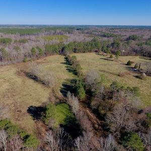 Photo of UNDER CONTRACT!  270.86 Acres of Pasture and Timber Land with Pond For Sale in Halifax County NC!