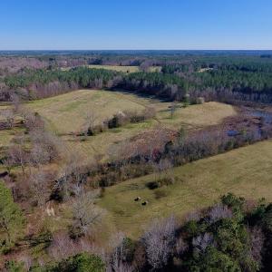 Photo of UNDER CONTRACT!  270.86 Acres of Pasture and Timber Land with Pond For Sale in Halifax County NC!