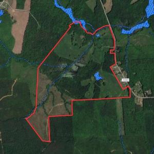 Photo of UNDER CONTRACT!  270.86 Acres of Pasture and Timber Land with Pond For Sale in Halifax County NC!