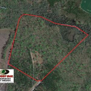 Photo of SOLD!!  55 Acres of Hunting and Timber Land with Home Site in Surry County VA!