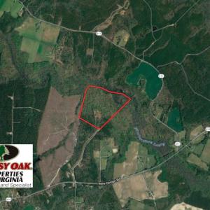 Photo of SOLD!!  55 Acres of Hunting and Timber Land with Home Site in Surry County VA!