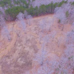 Photo of SOLD!!  55 Acres of Hunting and Timber Land with Home Site in Surry County VA!