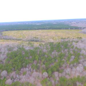 Photo of SOLD!!  55 Acres of Hunting and Timber Land with Home Site in Surry County VA!