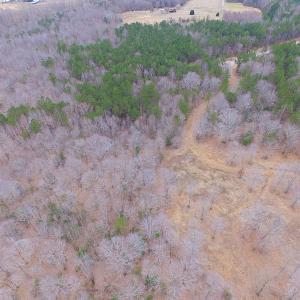 Photo of SOLD!!  55 Acres of Hunting and Timber Land with Home Site in Surry County VA!