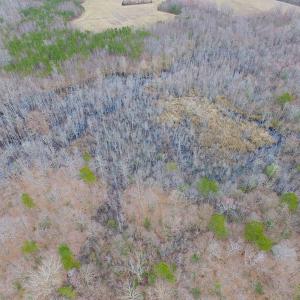 Photo of SOLD!!  55 Acres of Hunting and Timber Land with Home Site in Surry County VA!