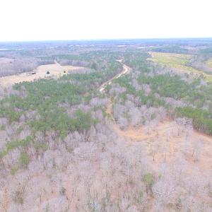 Photo of SOLD!!  55 Acres of Hunting and Timber Land with Home Site in Surry County VA!