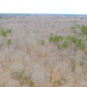 Photo of SOLD!!  55 Acres of Hunting and Timber Land with Home Site in Surry County VA!