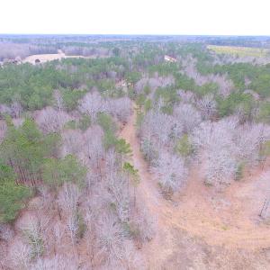 Photo of SOLD!!  55 Acres of Hunting and Timber Land with Home Site in Surry County VA!