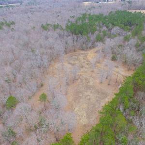 Photo of SOLD!!  55 Acres of Hunting and Timber Land with Home Site in Surry County VA!