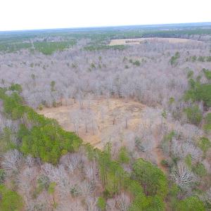 Photo of SOLD!!  55 Acres of Hunting and Timber Land with Home Site in Surry County VA!