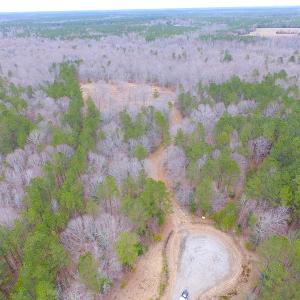 Photo of SOLD!!  55 Acres of Hunting and Timber Land with Home Site in Surry County VA!