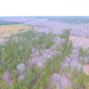 Photo of SOLD!!  55 Acres of Hunting and Timber Land with Home Site in Surry County VA!