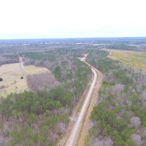 Photo of SOLD!!  55 Acres of Hunting and Timber Land with Home Site in Surry County VA!