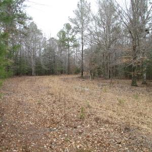 Photo of SOLD!!  55 Acres of Hunting and Timber Land with Home Site in Surry County VA!